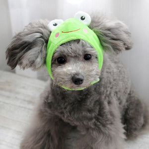 Cute Wrog Dog Hat