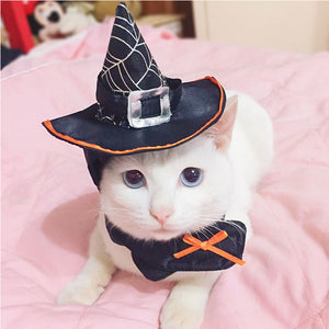 2018 Halloween Party Pet Hat